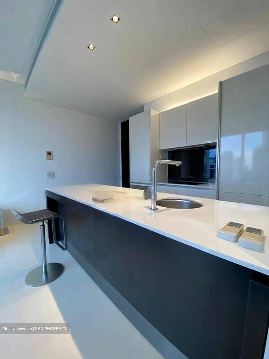 Scotts Square (D9), Apartment #463505371